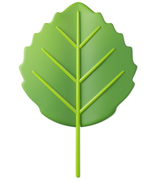 3D leaf aspen in green color, isolated on background. Botanical leaves for eco design, spring, summer, autumn, nature, organic, gardening, stickers, banners. 3d render
