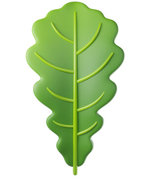 3D leaf oak in green color, isolated on background. Botanical leaves for eco design, spring, summer, autumn, nature, organic, gardening, stickers, banners. 3d render
