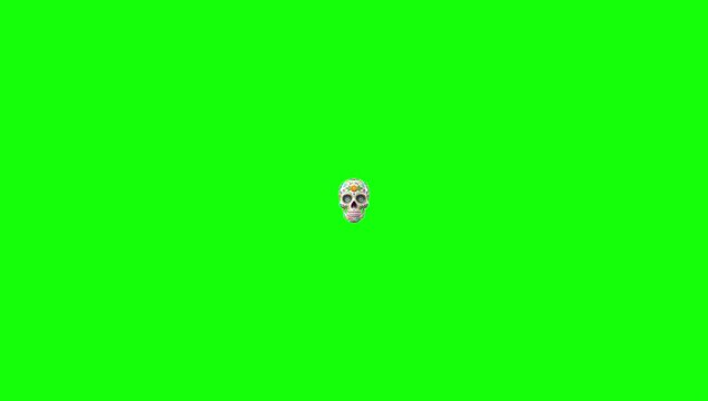 Animated Colorful Sugar Skull Calavera for Dia de los Muertos on Green Screen Chroma Key