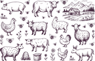 Obraz premium Vintage farm animals and rustic countryside landscape engraving vector set, hand-drawn agricultural elements for organic product packaging