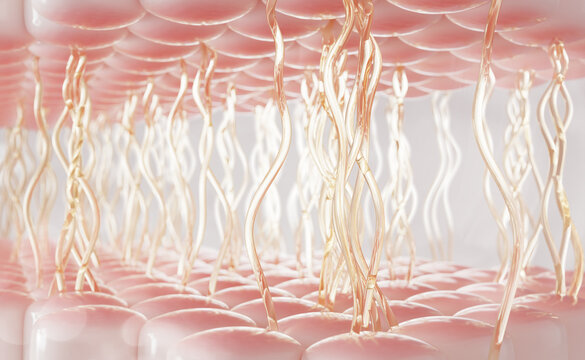 Collagen and elastin fiber network 3d background. Pink skin layers with connective tissue. Yellow wavy elastic protein structure. Anti-aging, rejuvenation, lifting, cosmetic concept. 3D illustration