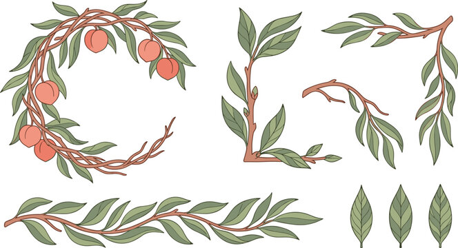 Peach Tree Botanical Branch Collection with Fruit, Leaves, Wreath, Foliage Borders, and Natural Garden Elements Vector Illustration Set
