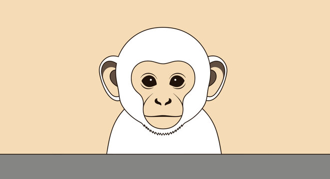 A simple, cartoon-style illustration of a white monkey with dark eyes and a light brown face, set against a plain light background.