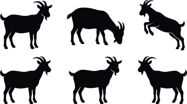 Vector Silhouette Collection of Goats in Various Poses Featuring Standing Grazing and Jumping Actions for Farm Breeding and Livestock Branding Layouts