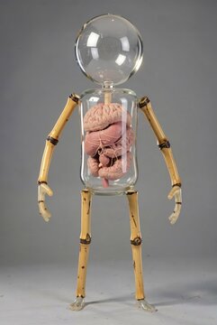 Glass Jar Human Anatomy Model With Bamboo Limbs Brain Organs Transparent Display Medical Education Artifact
