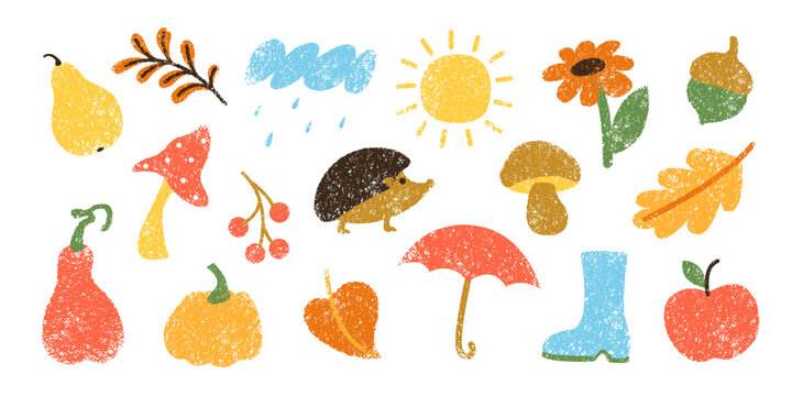 Set of hand drawn autumn, fall leaves, mushrooms, nature elements with charcoal grunge texture. Cute kids drawings. Sun, clouds, rain, fruits, pumpkins. 