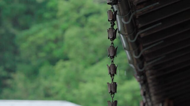 雨と雨樋