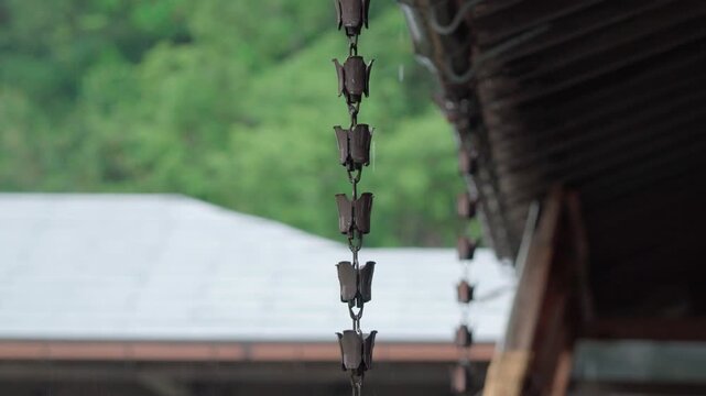 雨と雨樋