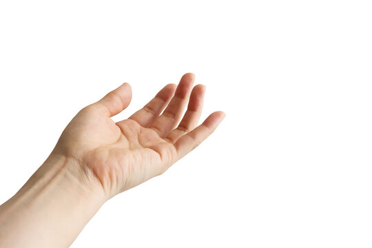 Open Female Hand Gesture Isolated on White Background with Copy Space