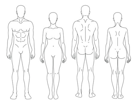 Minimal vector set of male and female human body outlines shown in front and back views. Clean anatomical templates ideal for medical illustrations, anatomy education, cosmetic procedures, tattoo desi