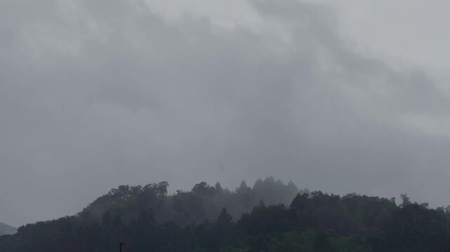 梅雨と雨