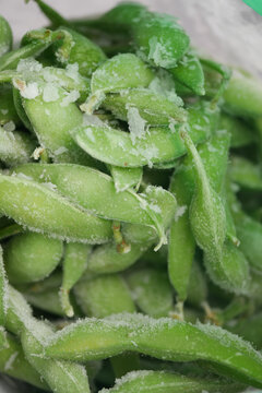 Frozen green peas in a plastic bag ready for cooking