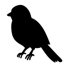 Obraz premium black bird silhouette