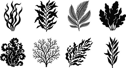 Marine plant silhouette set featuring underwater seaweed, kelp, algae, and coral branches isolated on white background © MdMorsalin