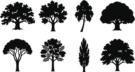 Fototapeta premium Black Deciduous Tree Silhouette Collection Featuring Oak, Maple, Poplar, and Ornamental Trees for Landscape Vector Design