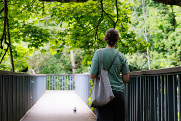 Fototapeta premium Walking along the nature path, enjoying the tranquil beauty of the lush surroundings and gentle afternoon light