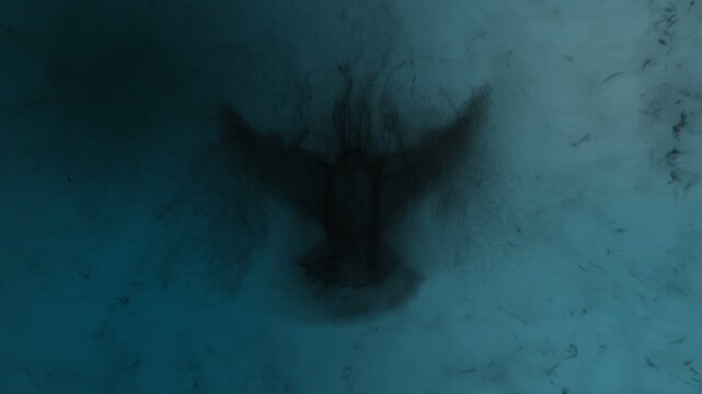 Concept animation of a bird flapping its wings in a dark realm or afterlife. 3d animation built from particles