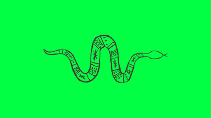 Naklejka premium Tribal snake illustration on green screen background