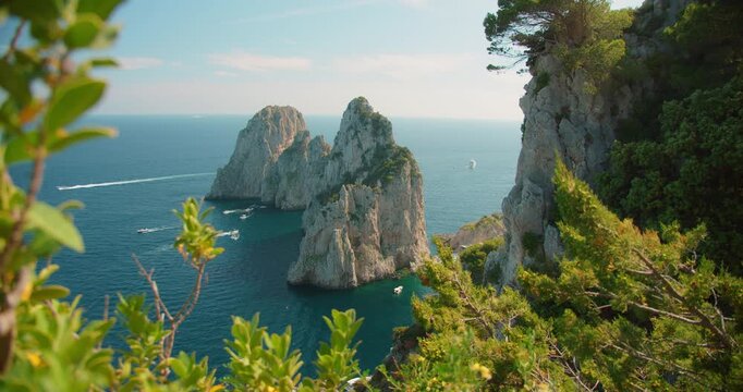 Faraglioni sea stacks rise from blue water framed by green pines on sunny Capri summer