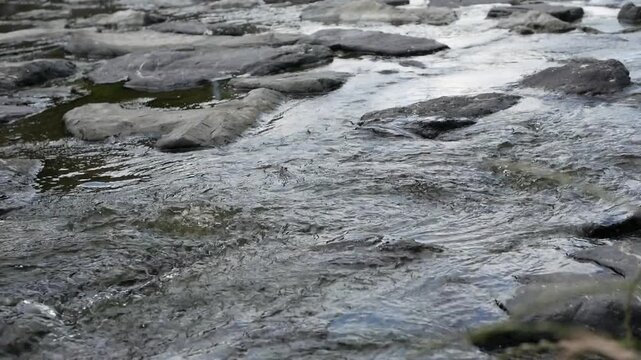Clear mountain stream water flowing over river rocks with natural sounds