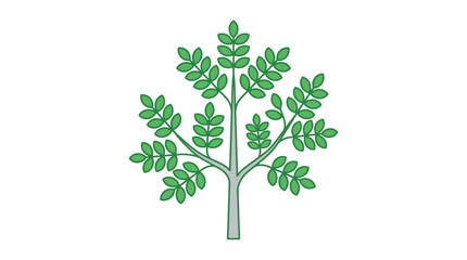 Fototapeta premium Simple green tree illustration with lush foliage on white background