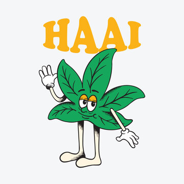 Haai