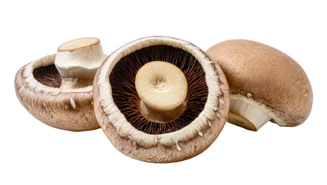 Three brown portobello mushrooms one cut in half showing gills, isolated on transparent background