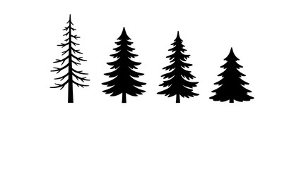 Set of four detailed coniferous tree silhouettes in black on white background © Tanmay