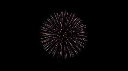 Obraz premium Firework burst night sky celebration vibrant radial explosion joyful