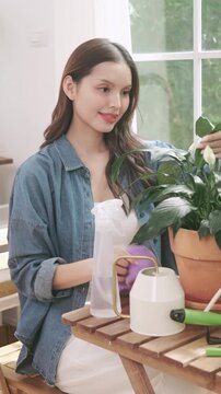 A young Asian woman caring for her indoor plants by wiping the leaves of a potted fern with a cloth.