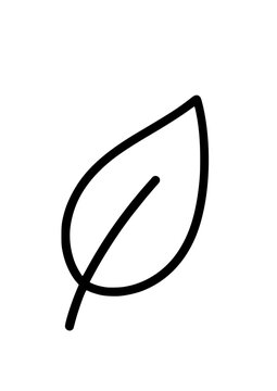 Clean abstract organic leaf shape outline icon for branding
