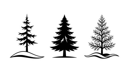 Obraz premium Set of three stylized pine tree silhouettes for seasonal landscape design