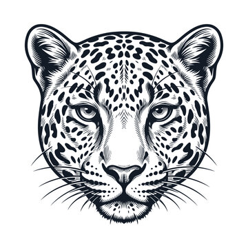 Luxury line art vector of a leopard's head with thin elegant strokes in a symmetrical design and black outline only.