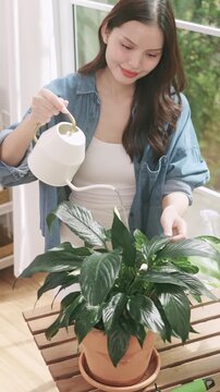 A happy young Asian woman watering her indoor plants with a small watering can near a bright window.