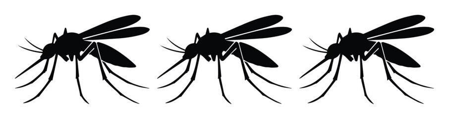 Three black mosquito silhouettes, a vector illustration of common insect pests. Ideal for health, travel, and pest control designs. © Asma
