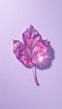 Modern glass transparency concepts texturing a beautiful leaf shadow layout on premium soft lavender background