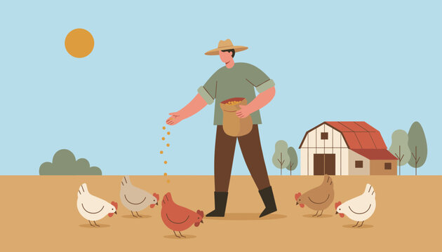 Hardworking farmer scattering seeds to feed a flock of chickens on a sunny day in a rural farm setting with a barn background.