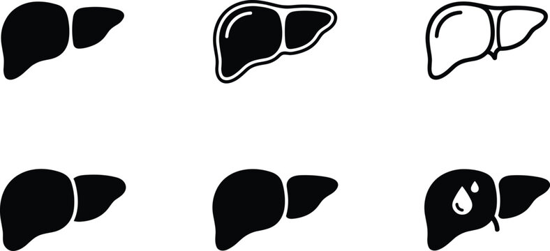 Human liver anatomy icons, internal organ silhouettes, medical biology signs, healthy and diseased liver symbols, diagnostic healthcare flat graphics