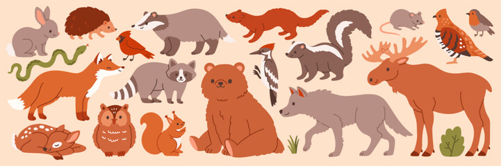 Obraz premium Cute autumn forest animals set. Vector illustration of woodland wild fauna like bear, fox, deer, owl, squirrel, and moose in flat cartoon style for kids, greeting cards, and educational design