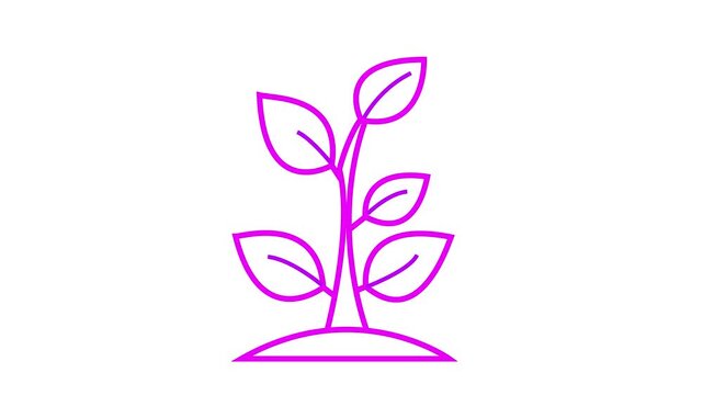 Liner black tree icon animation. 4k stock video