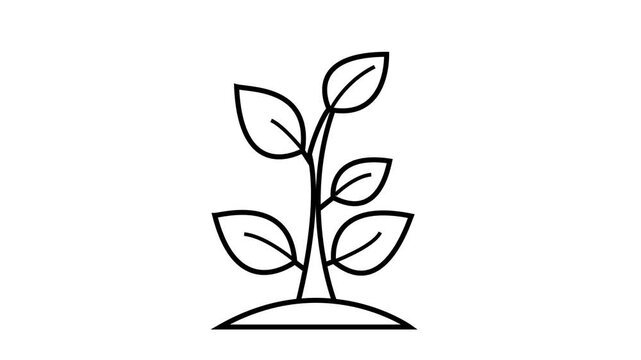 Liner black tree icon animation. 4k stock video