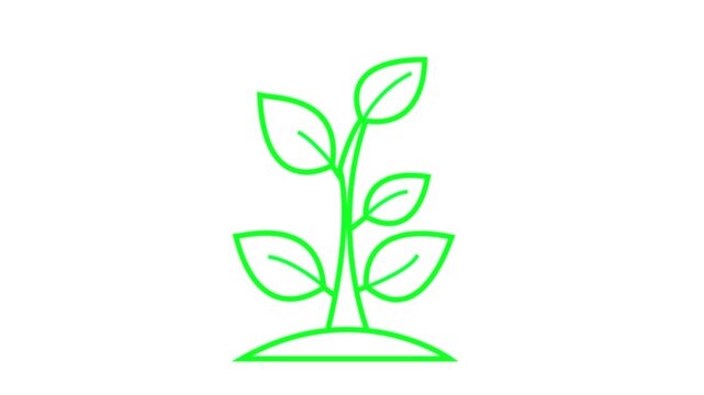 Liner black tree icon animation. 4k stock video