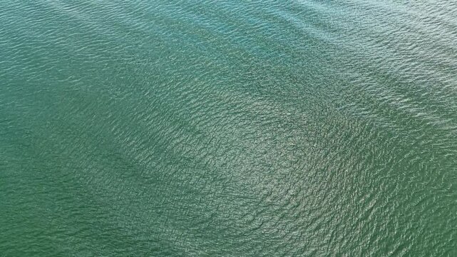 Soft waves create circular patterns on the water's surface as sunlight shines down on the lake or ocean. The scene shows clear and vibrant colors of the water.
