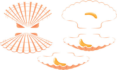 Scallop Shell Line Art Vector Icon Set with Opened Clams and Seafood Meat for Premium Marine Product Packaging, Restaurant Menus, and Ocean Graphics © KP Studio