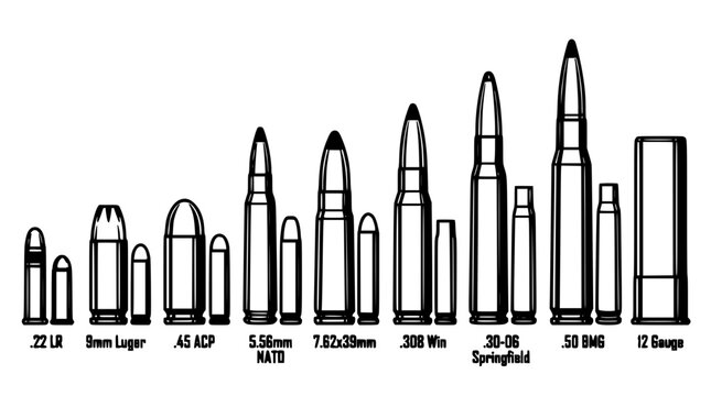 Ammunition Comparison Chart Showing Various Bullet Calibers and Gauges in Black and White Featuring Bullets, Illustration