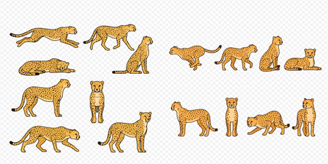 Cheetah animation frames set. Cartoon wild cat in various poses. African animal running, walking, sitting, and lying down. Vector illustration of cheetah sprite sheet for game or animation. © Akun