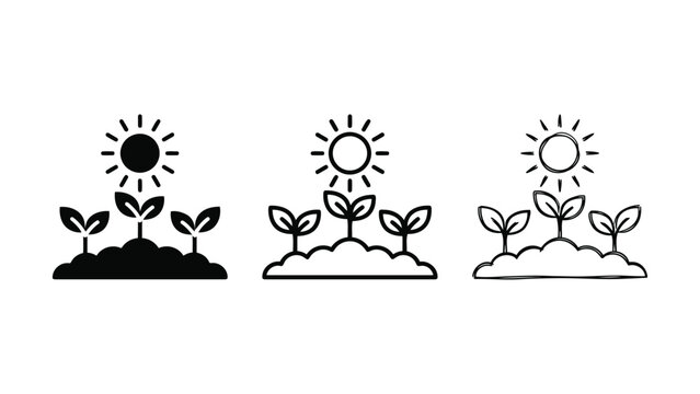 Three different styles of sprout illustrations with sun symbols above signifying growth and development