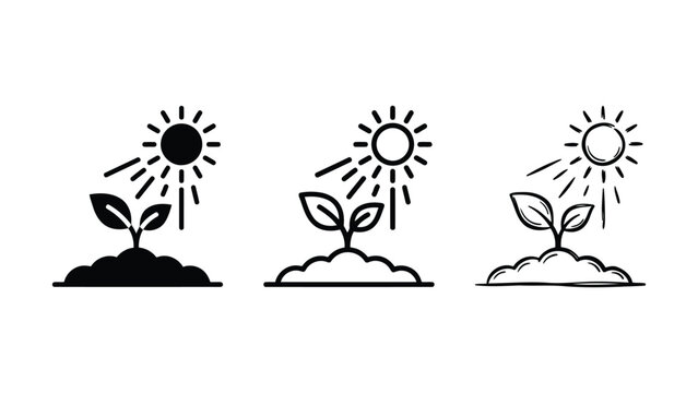 Three different styles of sun and seedling growth icons symbolizing nature and environmental concepts