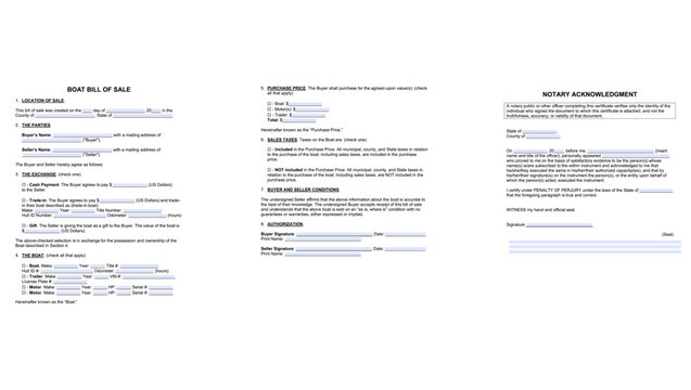 Boat Bill of Sale Form, color vector illustration