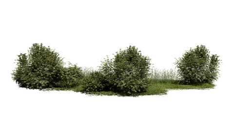 Fototapeta premium Three groups of green bushes stand in a clear space. Grass covers the ground around them. Sunlight is shining on the scene, showing the shapes of the plants. 3d render
